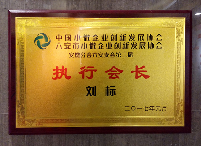 六安標榜裝飾-執(zhí)行會長